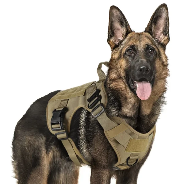 Large training dog harness - Image 12